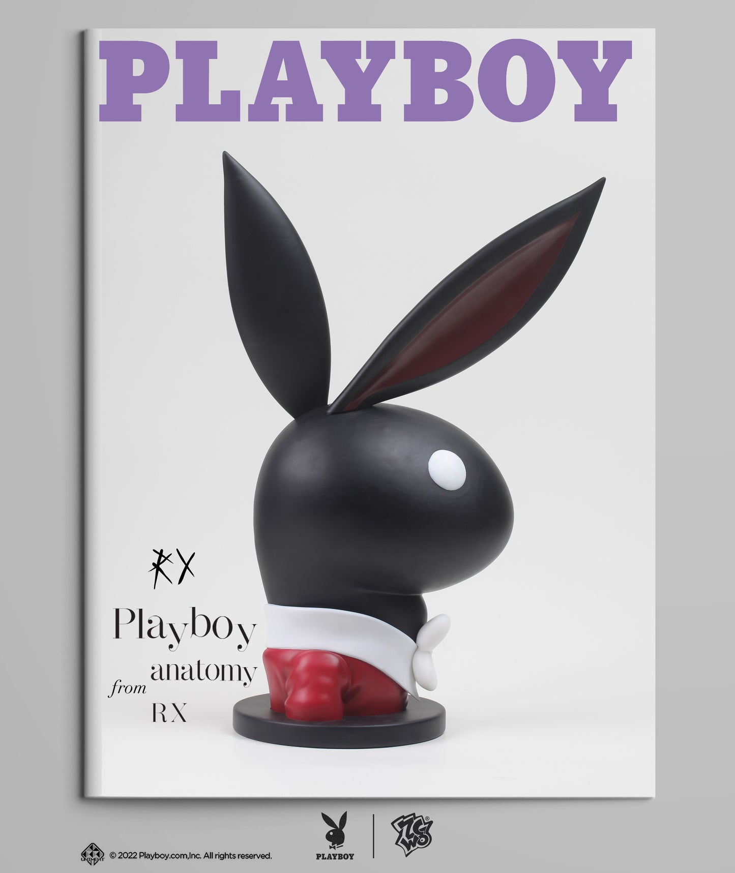 Playboy #1 Playboy Anatomy