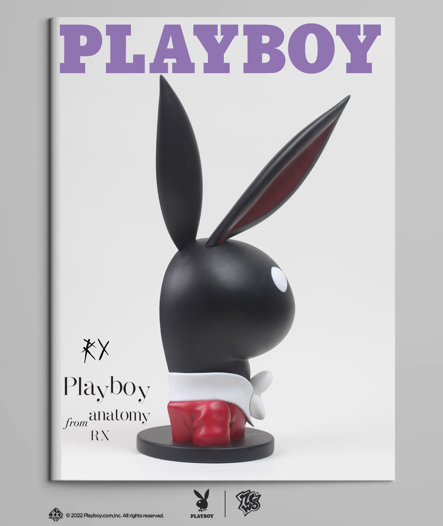 Playboy #1 Playboy Anatomy